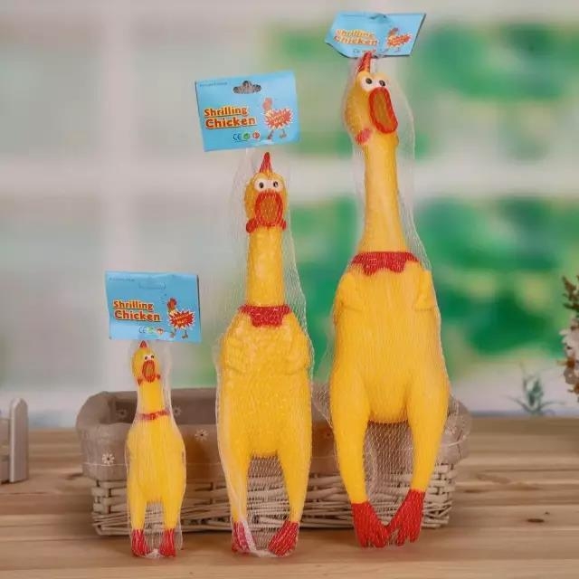 11��Ů���������ڡ����� ��͸ͷƤ2����