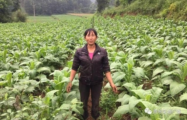 ��˫����ͬ��952�����»��㡪��һ˫Ů�˵��ֳ���һ����