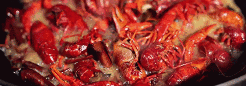 ��ԡ���С��������һ����֪���ҹ�С��Ϻ�������������͵�8��