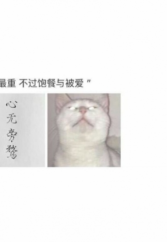 ϲĶҪȥǼ.