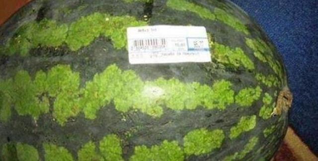 �������Լ�����䣬����һ��ǰ������ϣ��п��������˲������ţ�