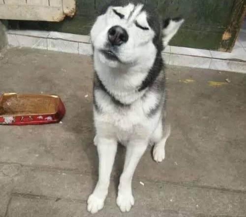 ��ʿ���ũ�壬Ϊ����������ǰ�������ţ���Ȼץ��ֻ����ȫ����ҫ