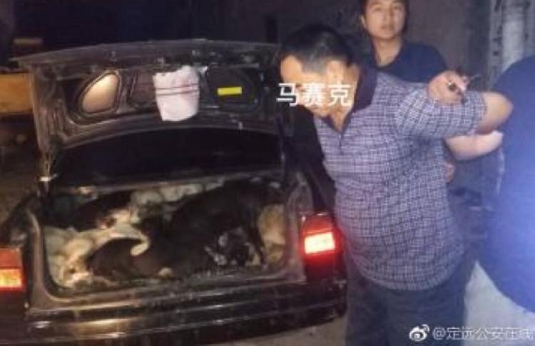 ����һҹ����25���� ������������