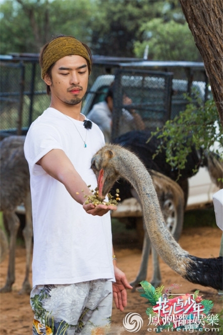 �°��ؾ����ӱ����� �����չ�����һ�־���Ұ������