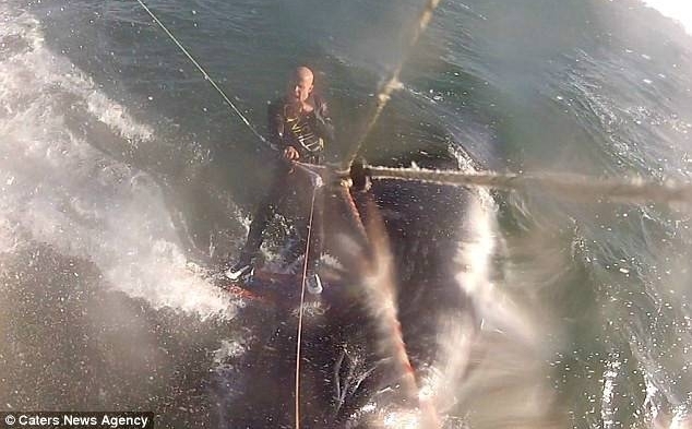 �����գ�����������ͷ�������������