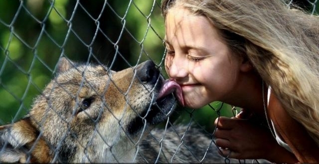 ��Ҳ����˳��һ�棬�׶���˹10��Ů����Ұ��5�갮������