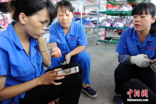 �����������������