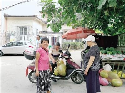 С����������ӭ��ũ������ ��ҵ����������(ͼ)