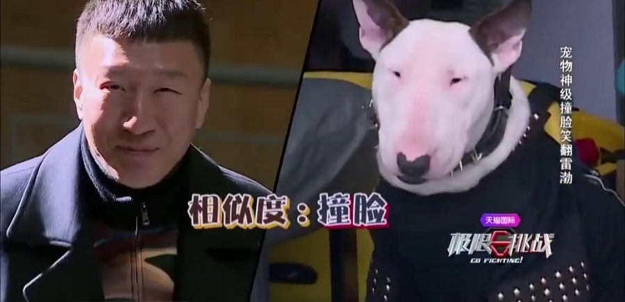 ������սʮ���Ц�����£����������£���־���