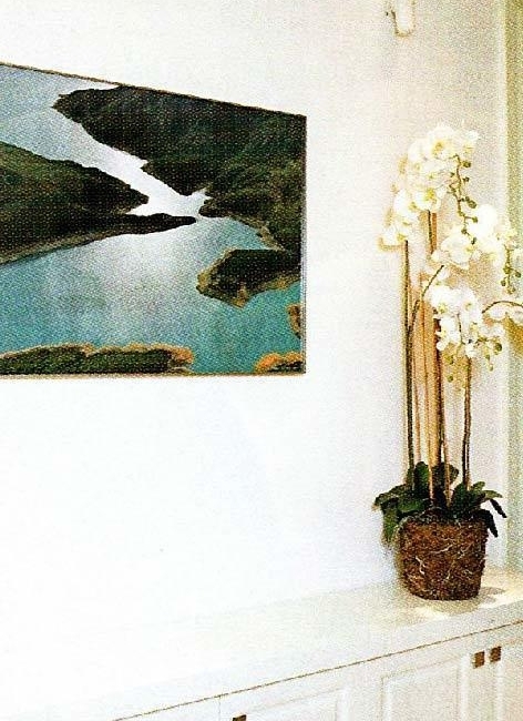 �������Ϻ������լ�ع� ���꾪���ˣ�