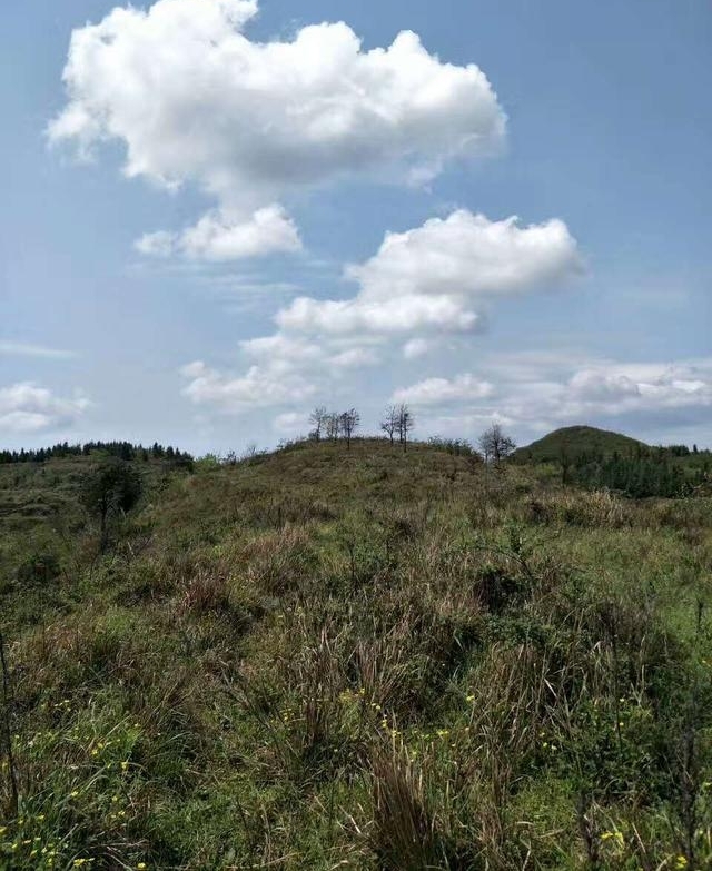 ���ڵ������˶�������������ɽ