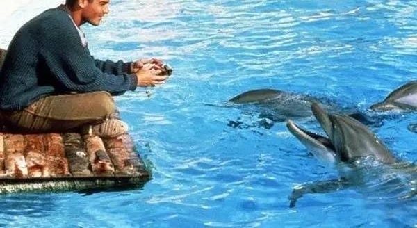 �����ⲿ��Ӱ����֤�¶��Խ�ʮ�ȣ�