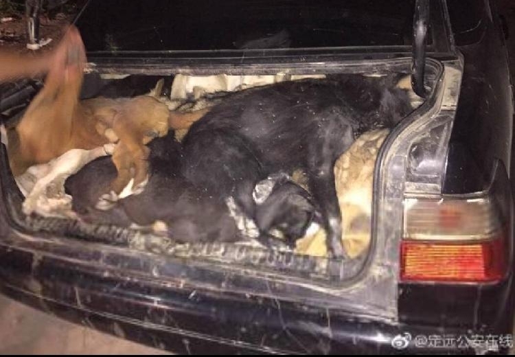 ����һҹ����25���� ������������