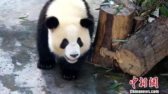 �ɶ�����è＂����＂����Ⱦ�Թ����� ����ҽ�������κ󿵸�