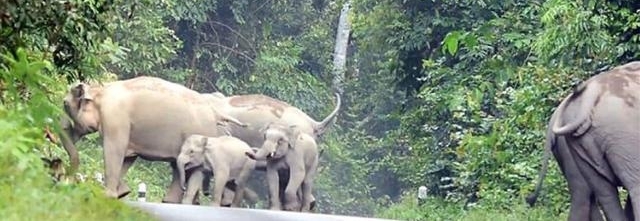 ����Ⱥ��ŭΧ��һ����ͨ�ˣ�֪��ԭ���ž����Ǹ��˴�������