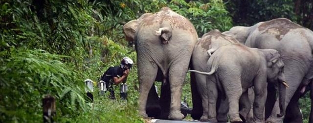 ����Ⱥ��ŭΧ��һ����ͨ�ˣ�֪��ԭ���ž����Ǹ��˴�������