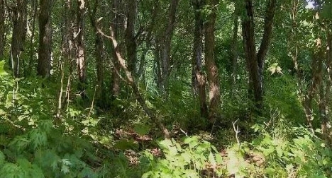 ũ�壺ũ�����Ұ��ܸ߰���һ���ë�����ϣ���ֵ��Ӫ��Ҳ��ث