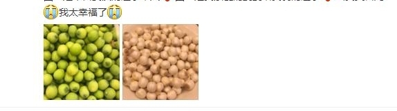 ������������ദ�����ף����ѣ����������ڱ����������