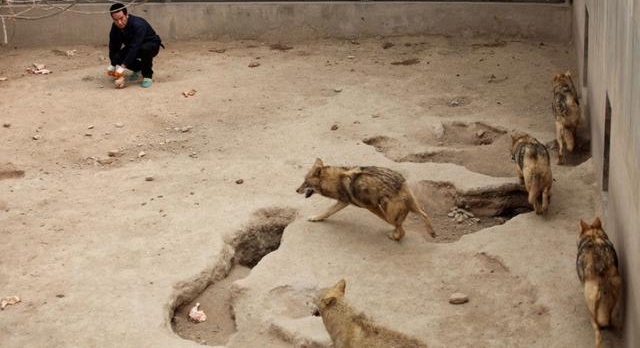 ʵ��������µ�������, Ⱥ�ǿ������Ǿ�＂��＂, �������Ⱦ���