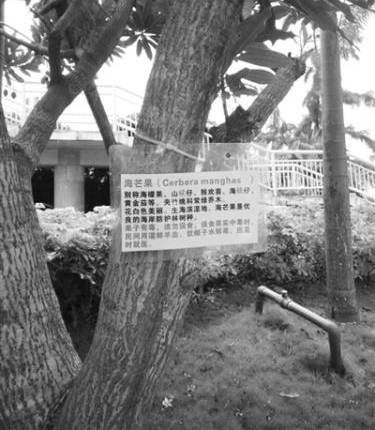 ����·����60��þ綾����ɱ���� ��ʵײ��â��