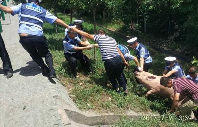 ��������·�����������ĸ��ٽ����ܳ���