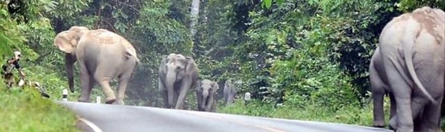 ����Ⱥ��ŭΧ��һ����ͨ�ˣ�֪��ԭ���ž����Ǹ��˴�������