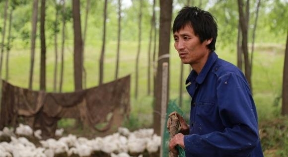 �봴ҵ��ע���ˣ�������׬32���µ���ֳҵƭ���Ѿ��γ�������ҵ��