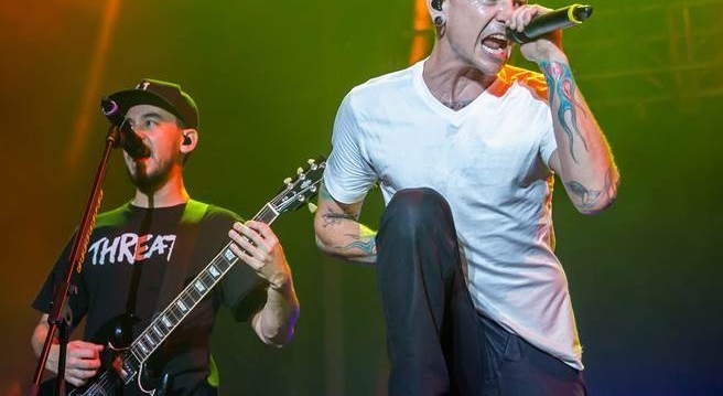 ��Ŀ�á��ֿϹ�԰��������ɱ�������