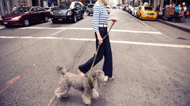 62������������һ�š���Ƥ���ſ����ѣ���Ҫ���ۡ�ƭ����ã�