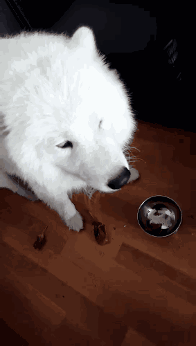 ��ĦҮ��Ի��1���� ����Ѱ����:���Ǳ�������