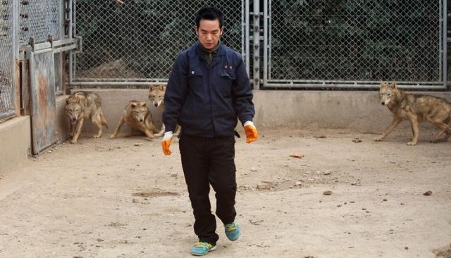 ʵ��������µ�������, Ⱥ�ǿ������Ǿ�＂��＂, �������Ⱦ���