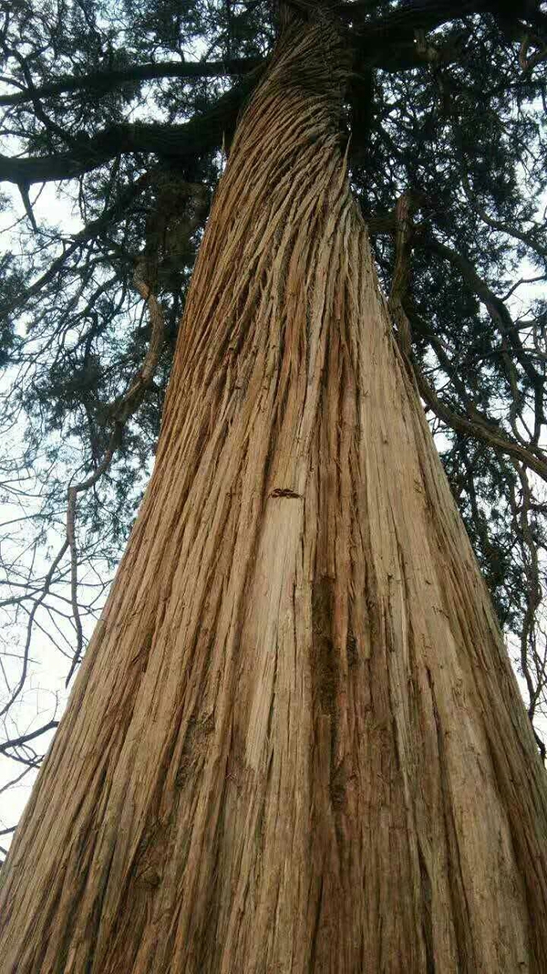 ����һ��ׯ������ͼ�ڡ�ǧ����������� ��������