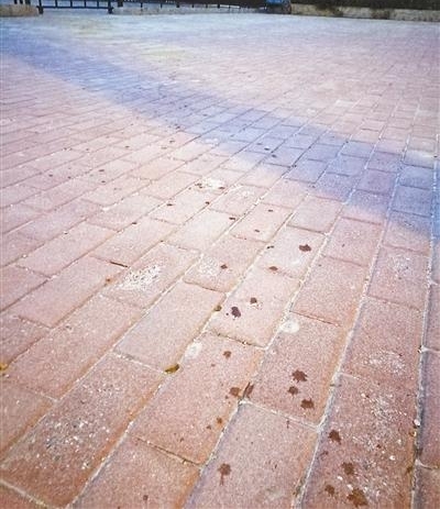 �Ϸ���ֹ���Ա����� ���˵ݽ���������Ϊ��������