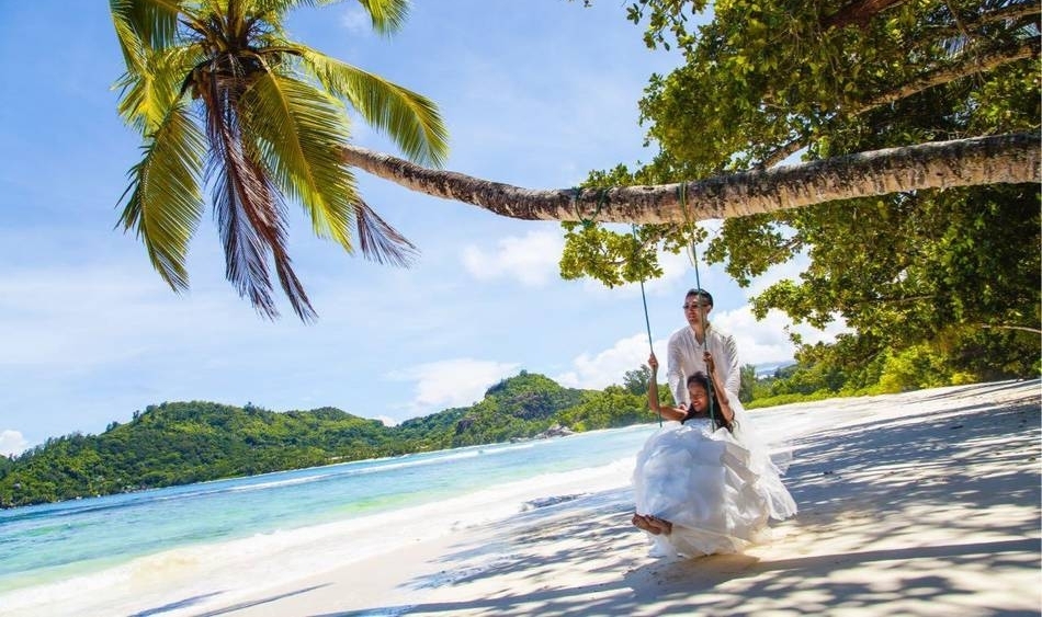 ����С��Ȣ����ϱ��