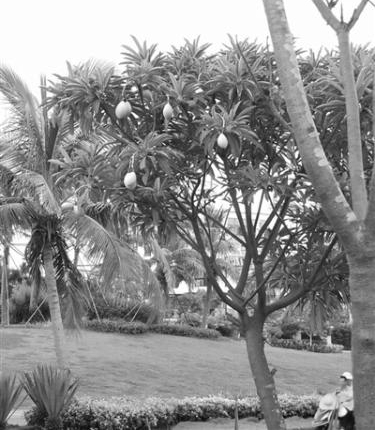 ����·����60��þ綾����ɱ���� ��ʵײ��â��