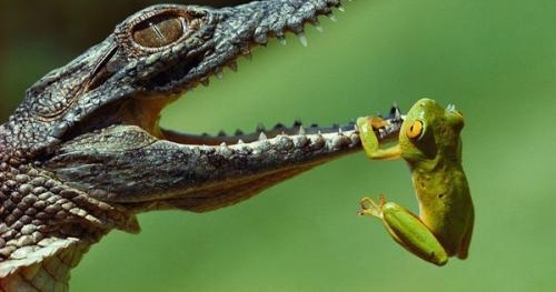 ���������еİ������ǣ������������ܣ�ֻ�����������Ŀ���