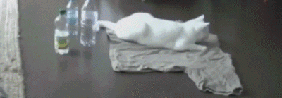 ϱ������������Ҫ���Ϲ���ͷ���е�������