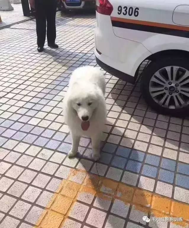 ��ĦҮ��Ի��1���� ����Ѱ����:���Ǳ�������