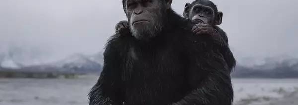 �������ⲿ��ʦ����Ӱ�����µ�����ź���