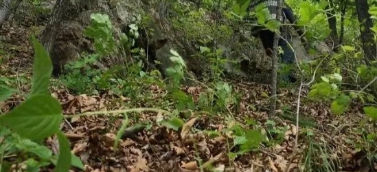 ũ�壺ũ�����Ұ��ܸ߰���һ���ë�����ϣ���ֵ��Ӫ��Ҳ��ث