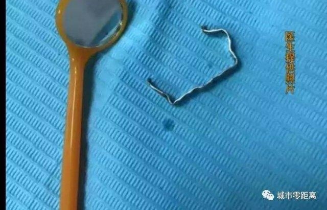 ������������ָ����ָ�����������㵰