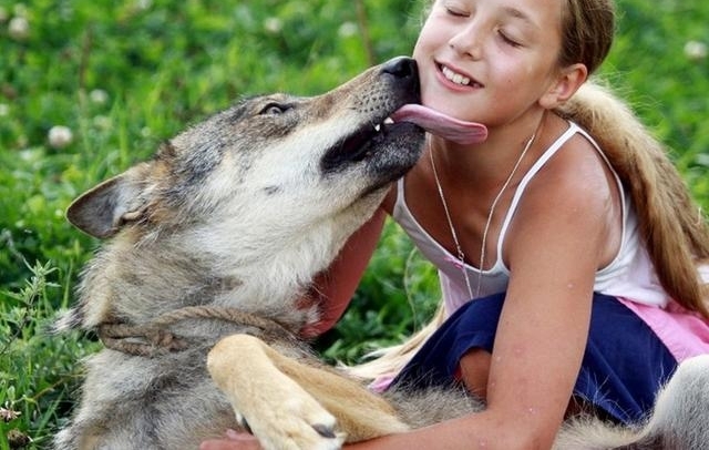 ��Ҳ����˳��һ�棬�׶���˹10��Ů����Ұ��5�갮������