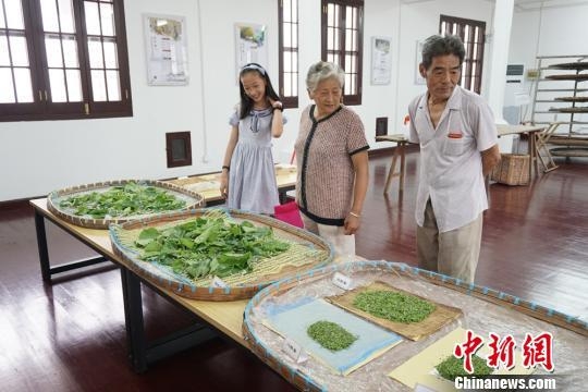 ���ϲ�ɣ����ݿ���ӭ�� չ��ز�ɣ�Ļ���ɫ