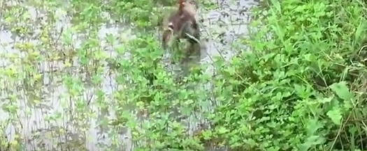 ũ��С������ֵ��㷽ʽ���Ǵ���û������һ��һ��׼