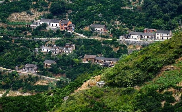 ע���ˣ���Щ����Υ����Ϊһ��Ҫ����