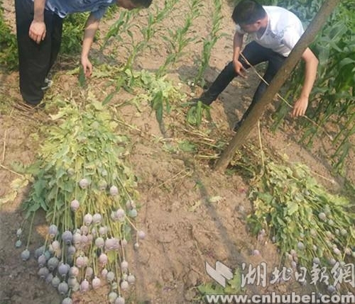 �����ж��ж������Ϊת�����ܰ˰���