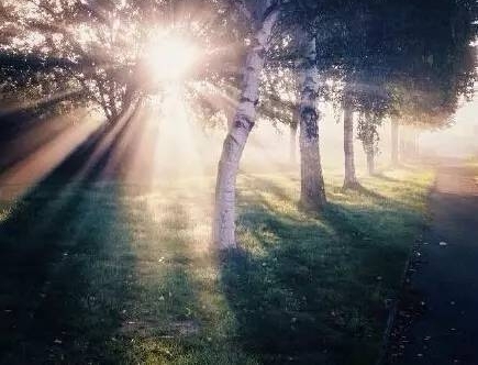 ���߹��������İ������£�ȴ���֡�����ʮ�ﲻ���㡷