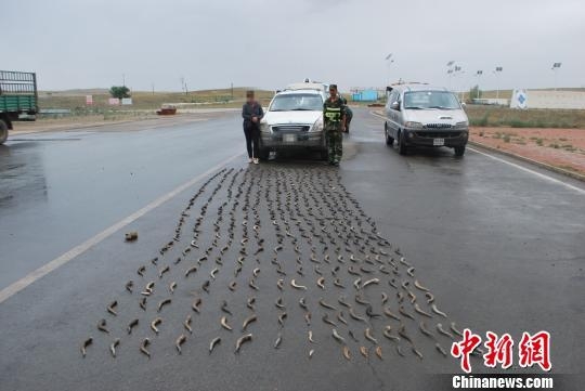 ���ɹ�����´ﲼ��߼�վ�����˽Ұ�������446��