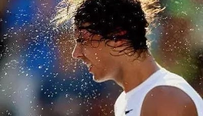 ����Ū������������Ԥ������·��ԭ����������Ԥ��Ҫ������