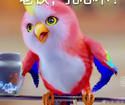 Ǵ˭? ָīhŵڶ